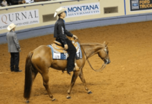 What are the different gaits in western pleasure?