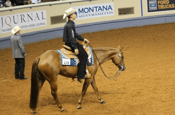 What are the different gaits in western pleasure?