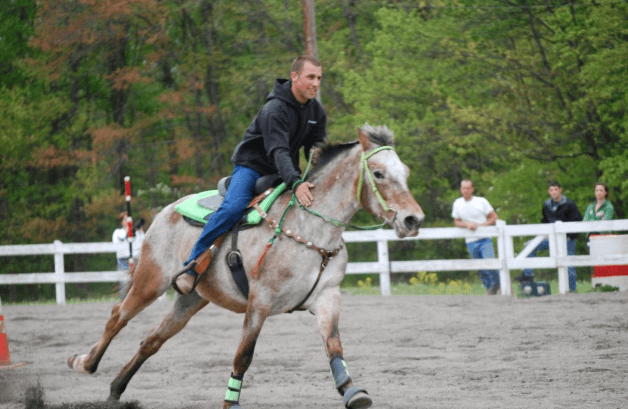 What is the ideal breed of horse for pole bending?