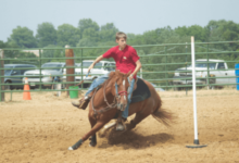 How can I teach my horse pole bending?