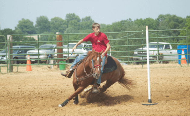 How can I teach my horse pole bending?